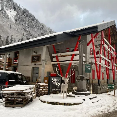 Apartment Mystere Montriond